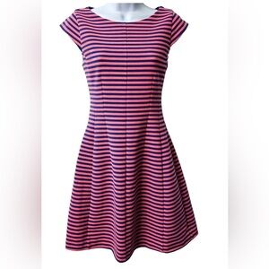 Lilly Pulitzer Pink and Navy Striped Fit-and-Flare Mini Dress